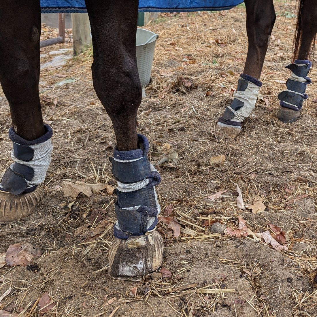 Canterpants vs Fly Boots