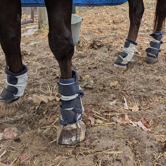 Canterpants vs Fly Boots