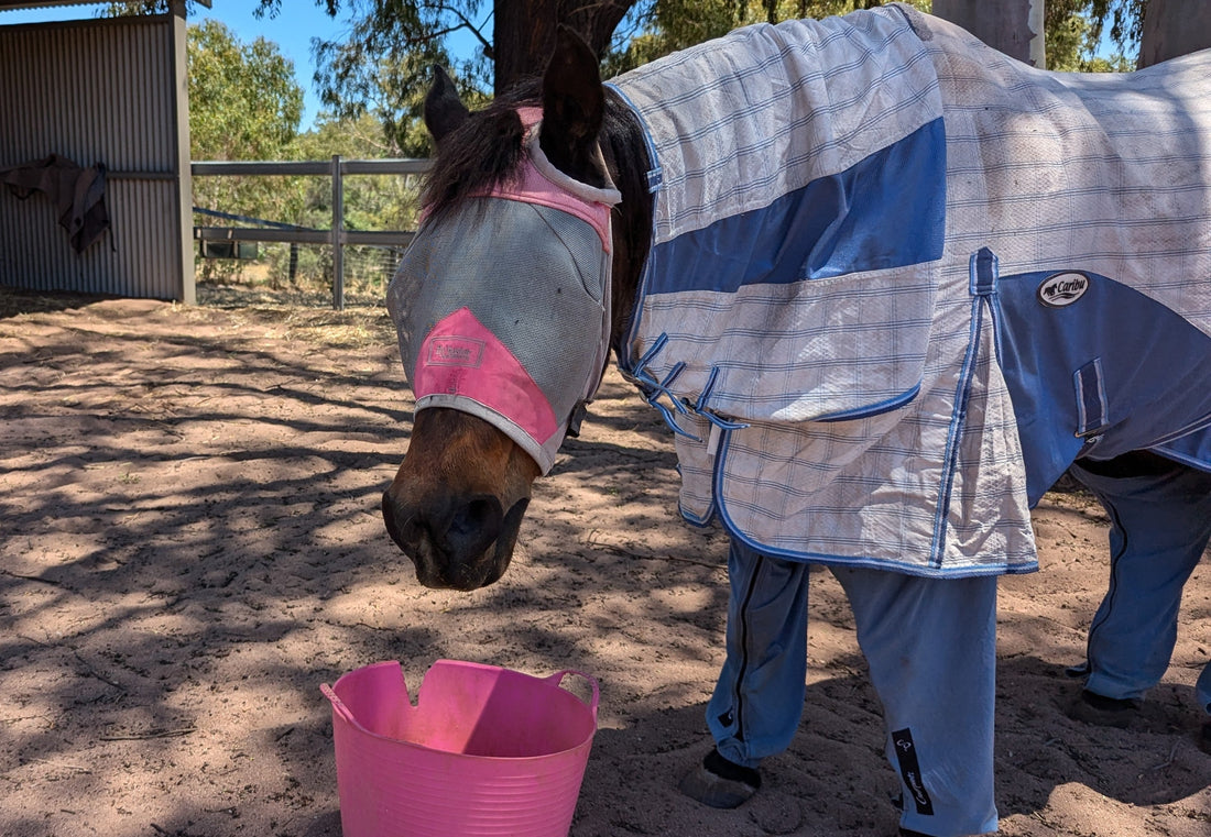 Is Insect Repellent Harmful to my Horse?