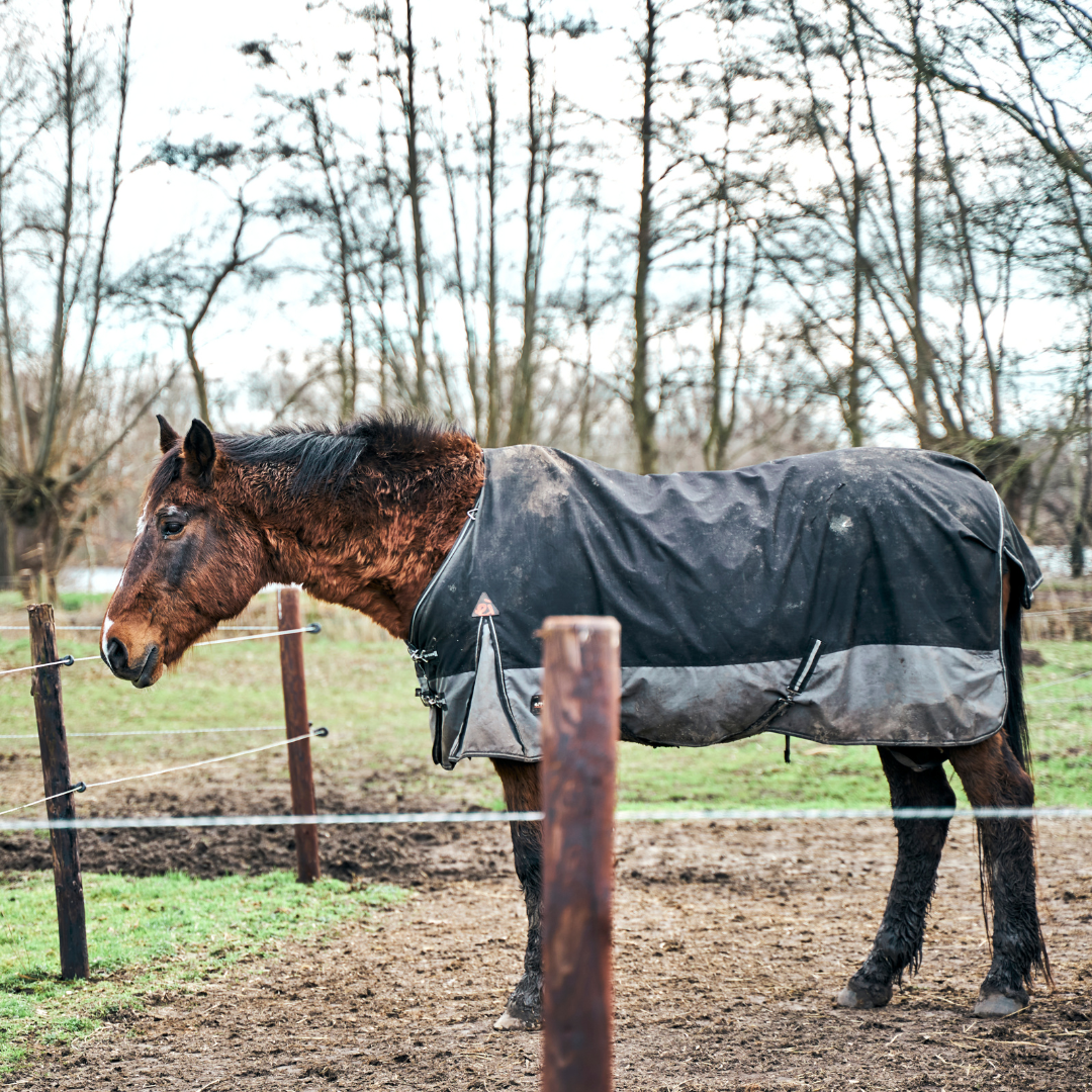 MUD - MORE THAN JUST A MESS!