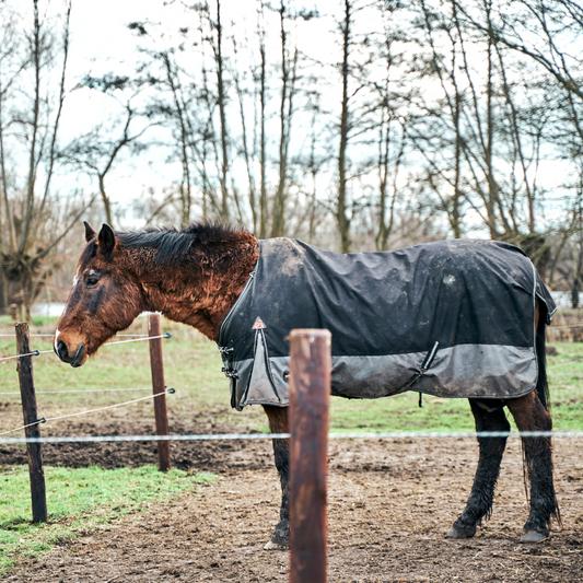 MUD - MORE THAN JUST A MESS!