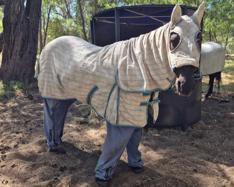 Johnny fully protected from biting inscets