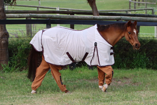 Chestnut pony in a green field wearing protective rug and Canterpants leg coverings to protect against biting insects