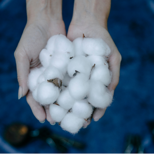 COTTON vs POLYESTER – What's best?