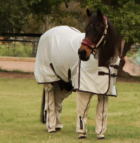 ALLERGIES IN HORSES – Breaking The Cycle