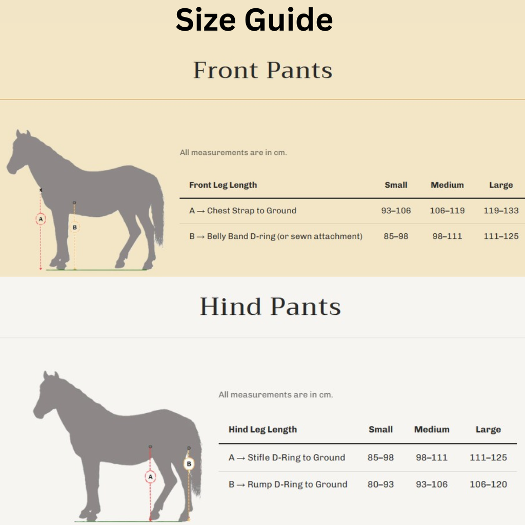 Four Leg Horse Pants Set