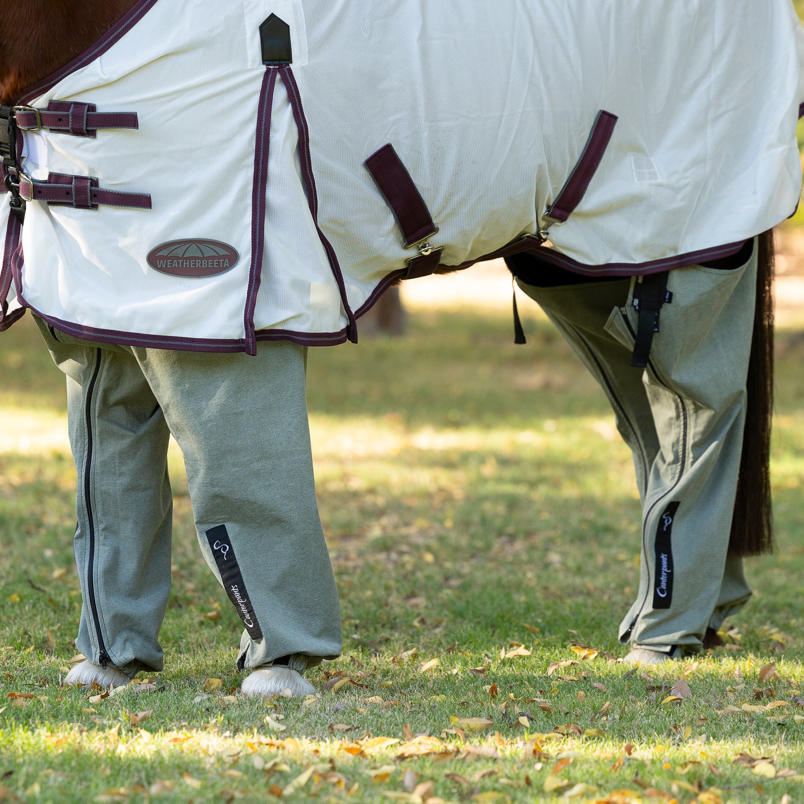 Pony standing on grass wearing Canterpants in PeppermintGum ripstop cotton