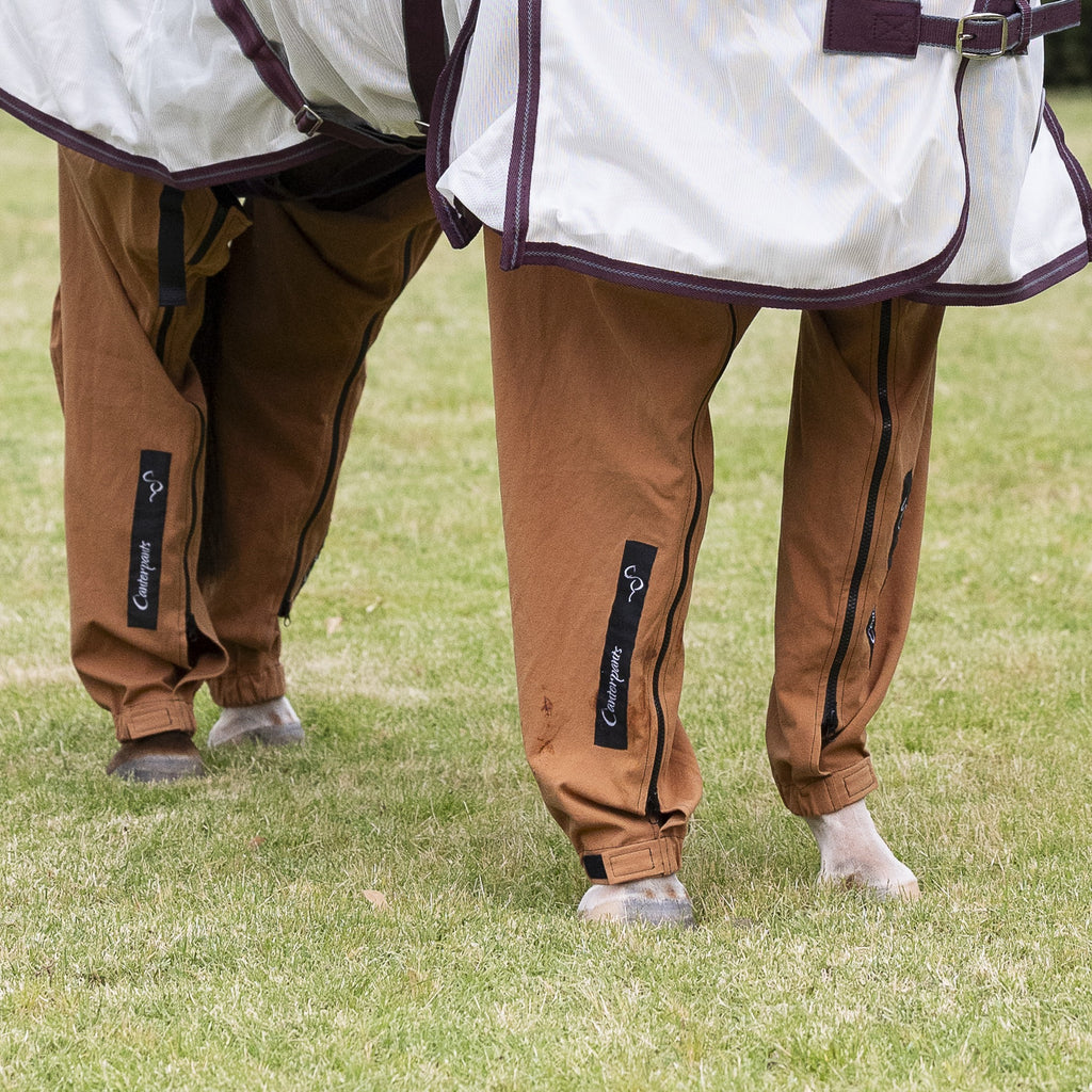 Four Leg Horse Pants Set II