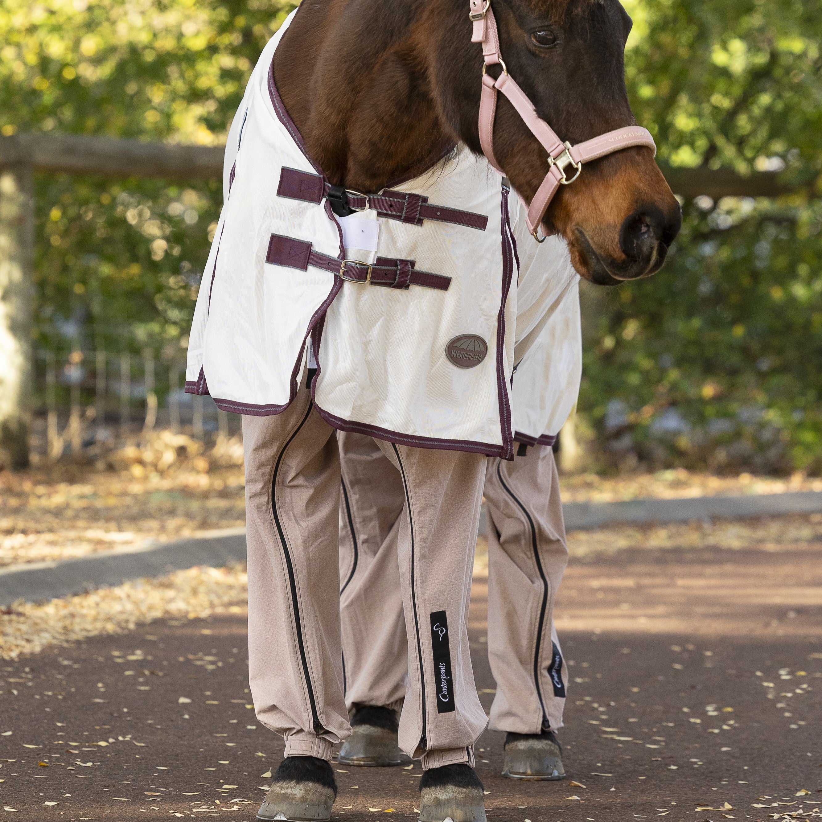 Bay horse standing in the driveway wearing a white rug and coralgum coloured ripstop Canterpants