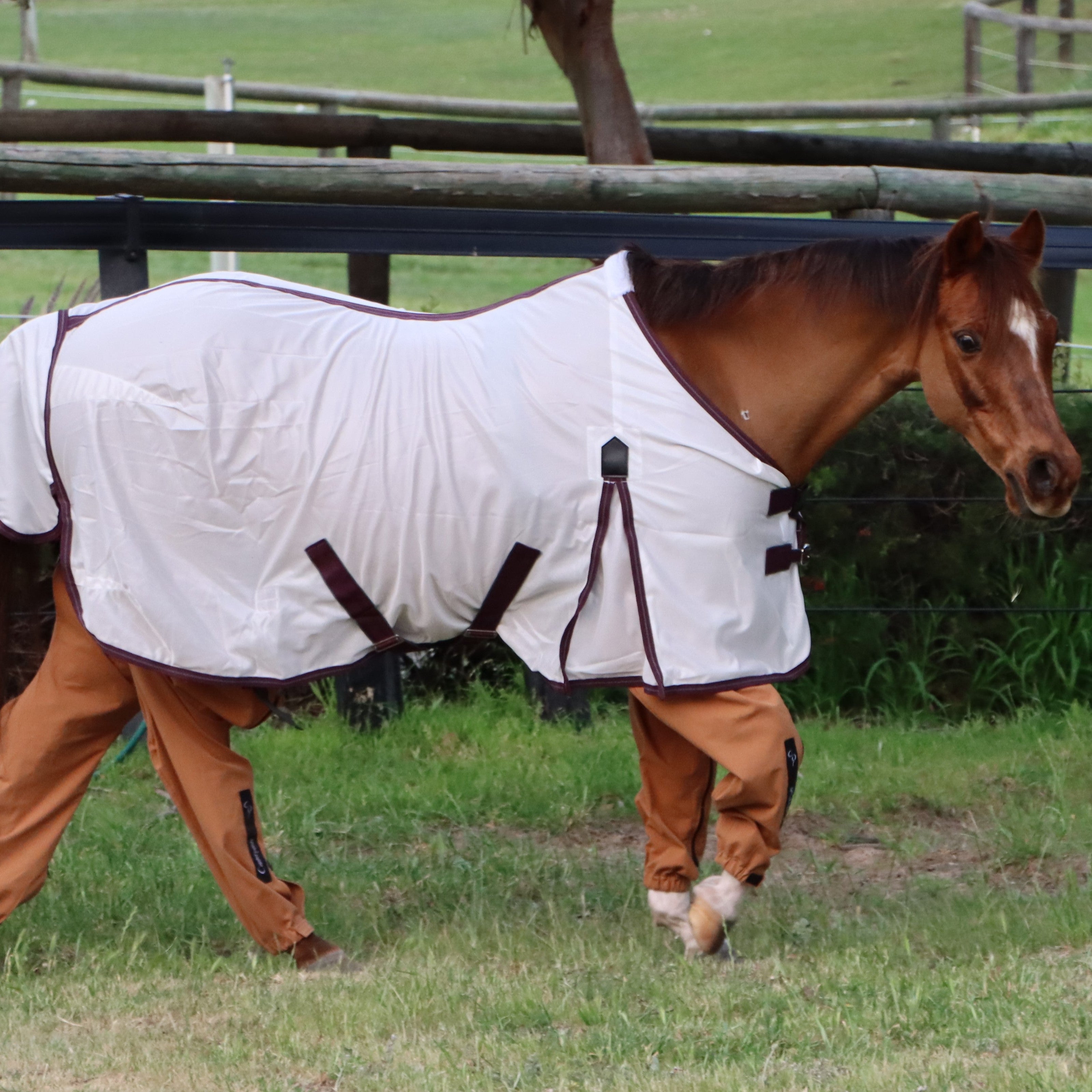 Complete Horse Pants Set II