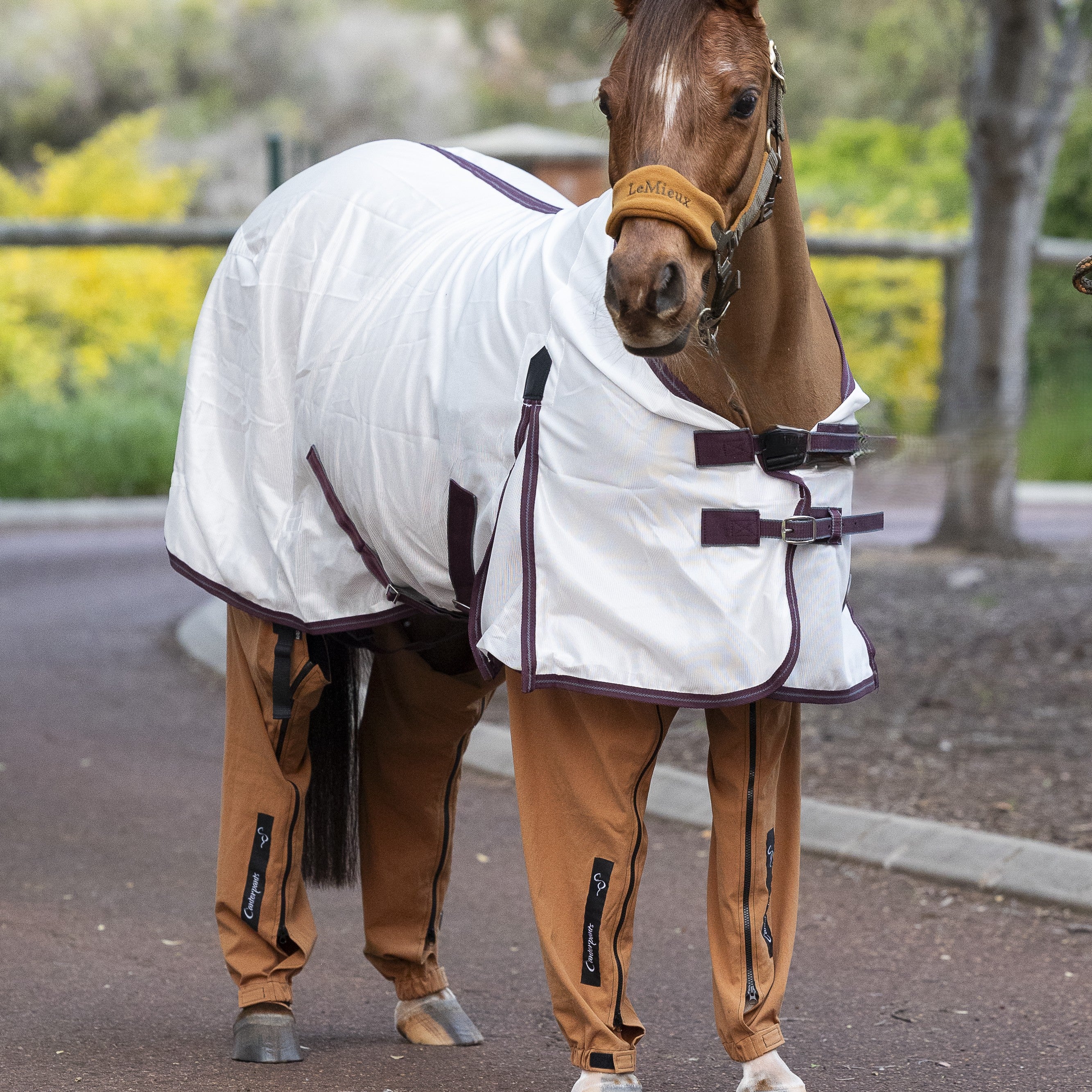 Four Leg Horse Pants Set II