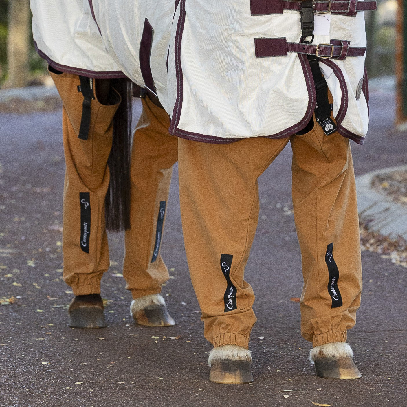 Close-up of a pony standing on a driveway wearing a white rug and desert coloured full length leggings (Canterpants)