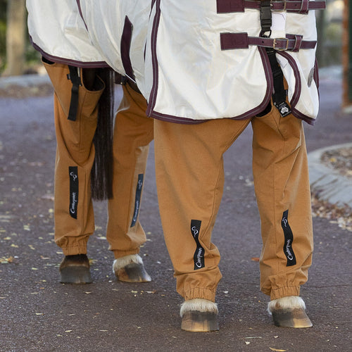 Close-up of a pony standing on a driveway wearing a white rug and desert coloured full length leggings (Canterpants)