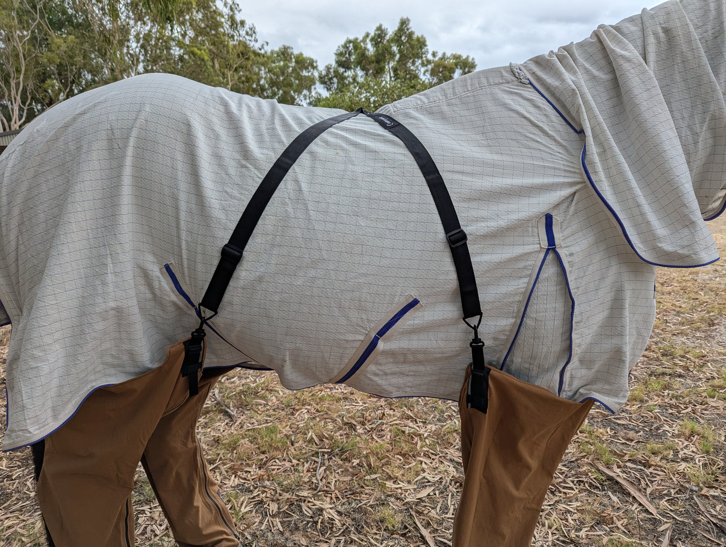 Farrier Back-strap