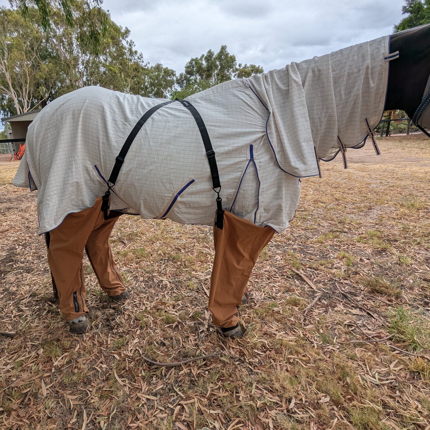 Farrier Canterpants Bundle
