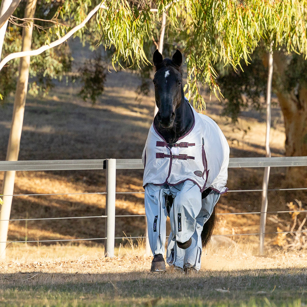Black horse cantering in an Australian paddock with gum trees in the background.  Horse is wearing a whit rug and BlueGum coloured ripstop cotton Canterpants