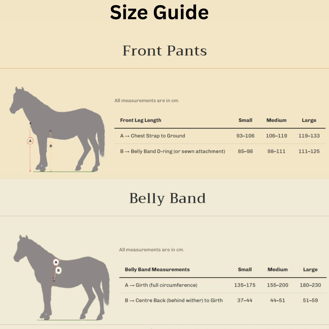 Front Horse Pants Set