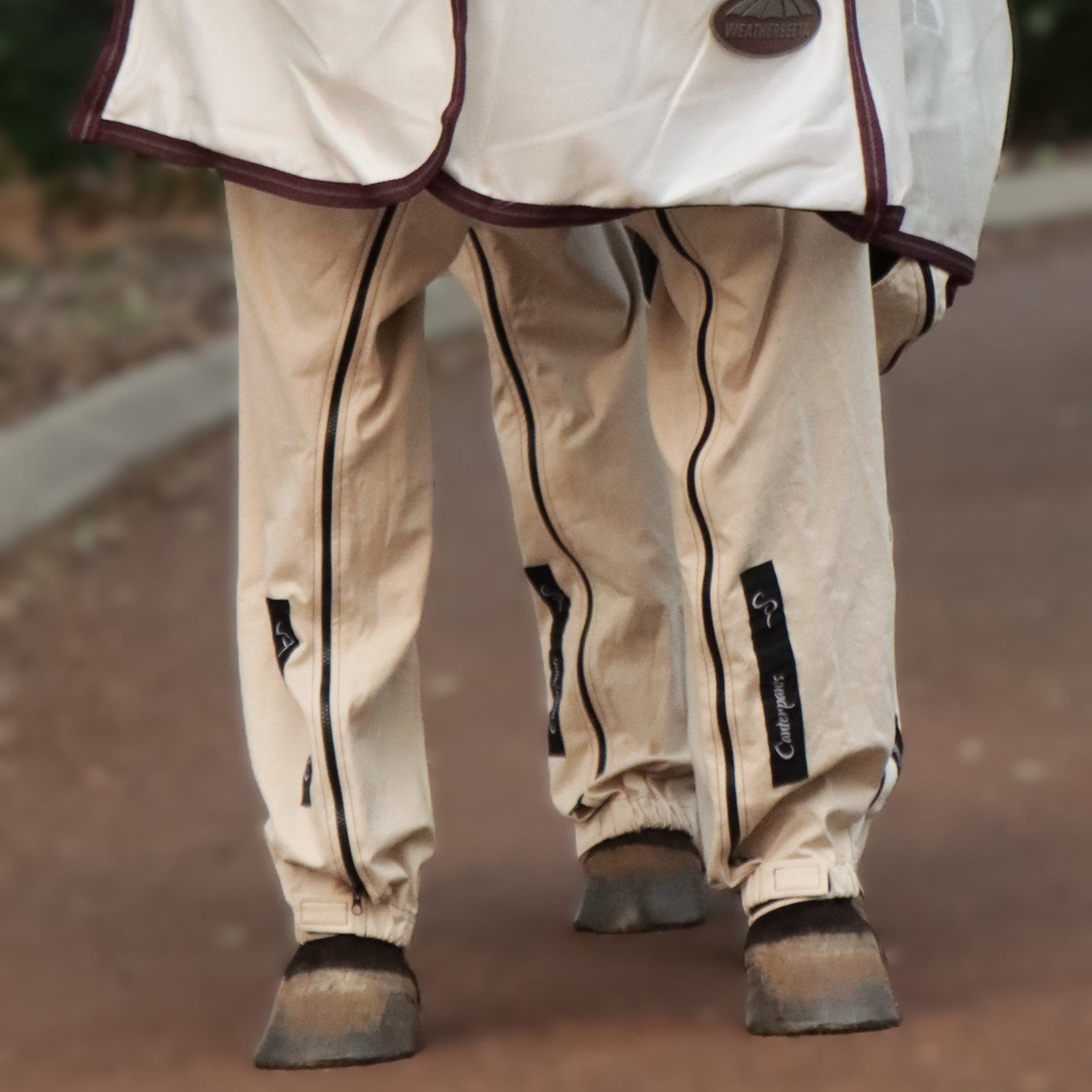 Horse legs front on standing on driveway protected by beach coloured Canterpants