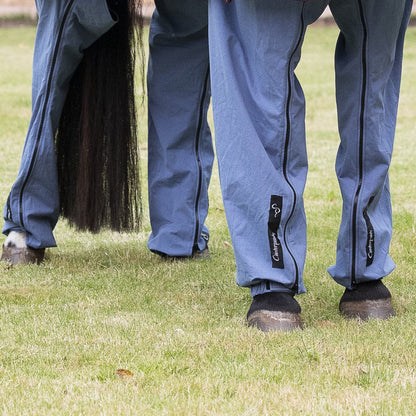 Front on view of horse showing legs standing on grass wearing ocean coloured Canterpants