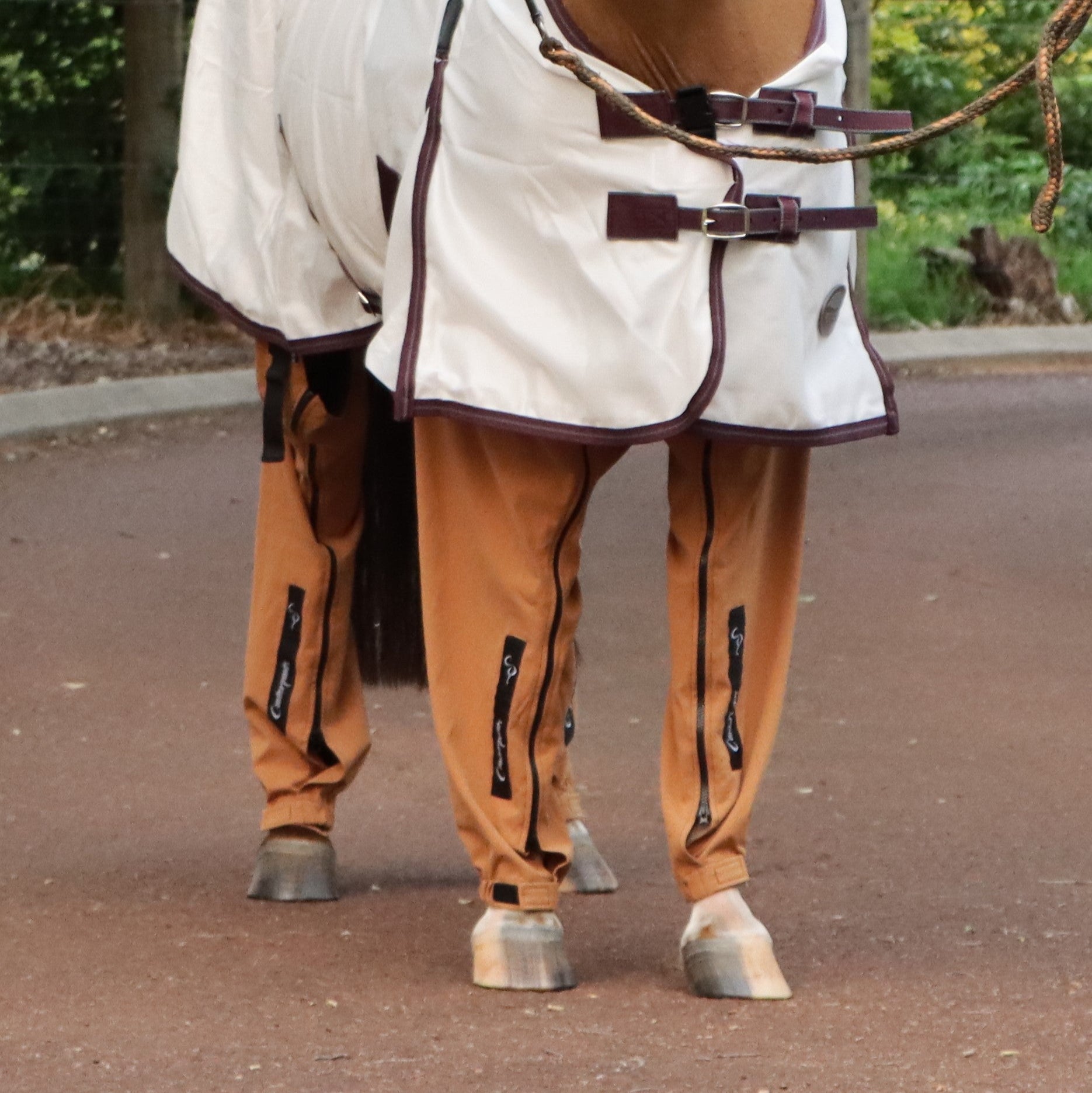 Horse legs front on standing in laneway protected by desert coloured Canterpants