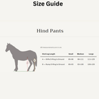 Size guide for front pants with diagram of horse and measurements
