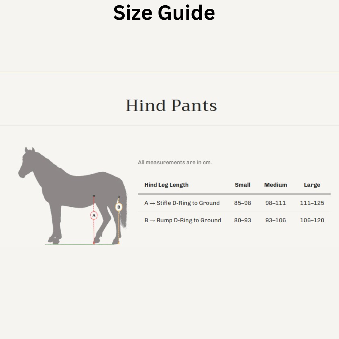 Hind Horse Pants