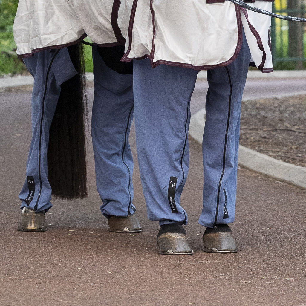 Close up of legs of horse wearing Ocean Canterpants to protect legs