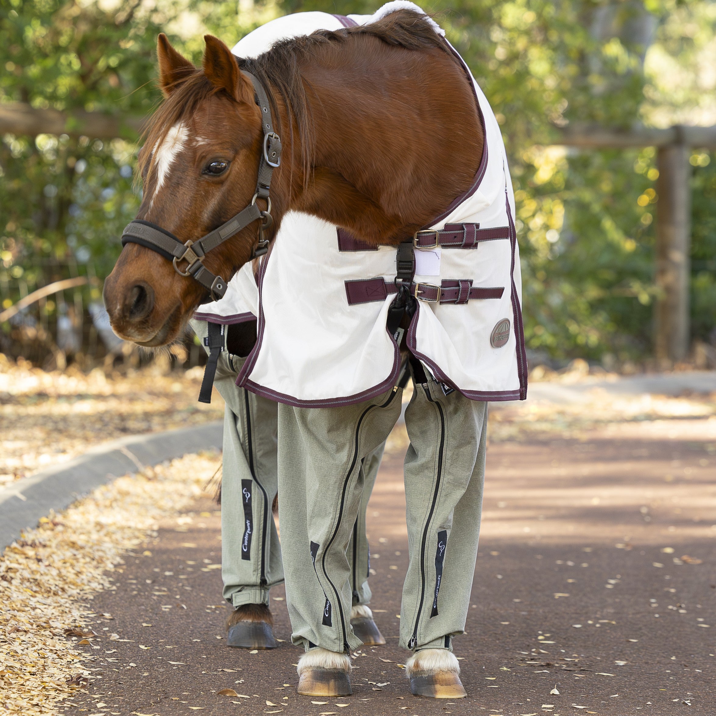 Chestnut pony standing in the driveway wearing a white rug and peppermintgum coloured ripstop Canterpants