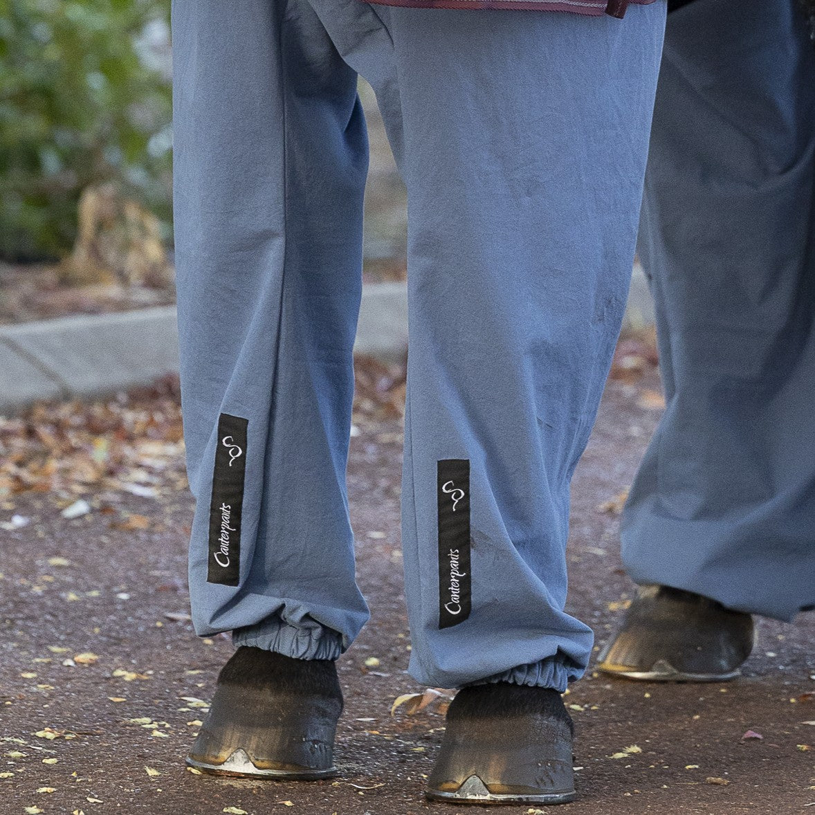 Close-up of horse legs wearing Canterpants leggings in the colour ocean