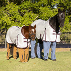 Complete Horse Pants Pull-On Set