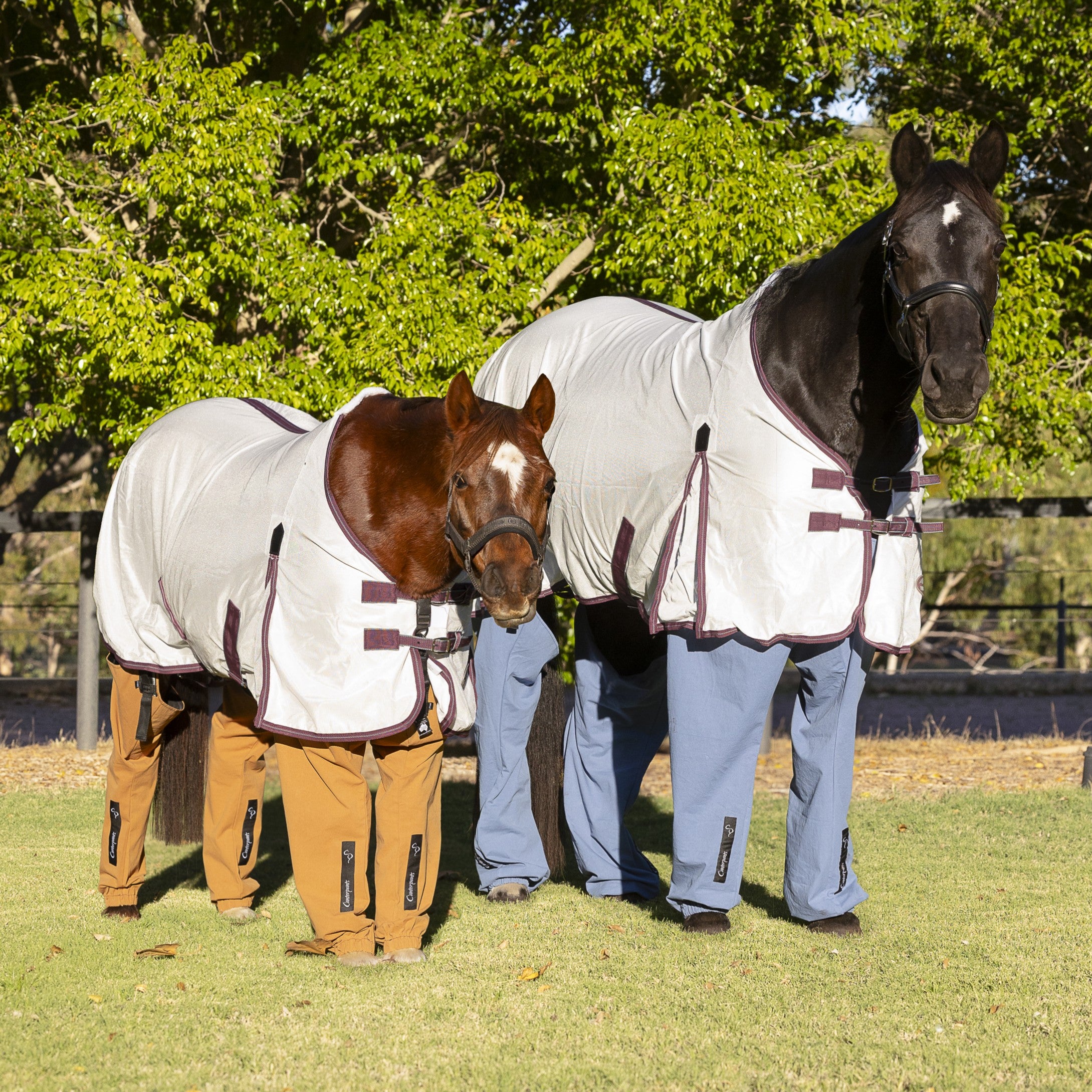 Complete Horse Pants Pull-On Set