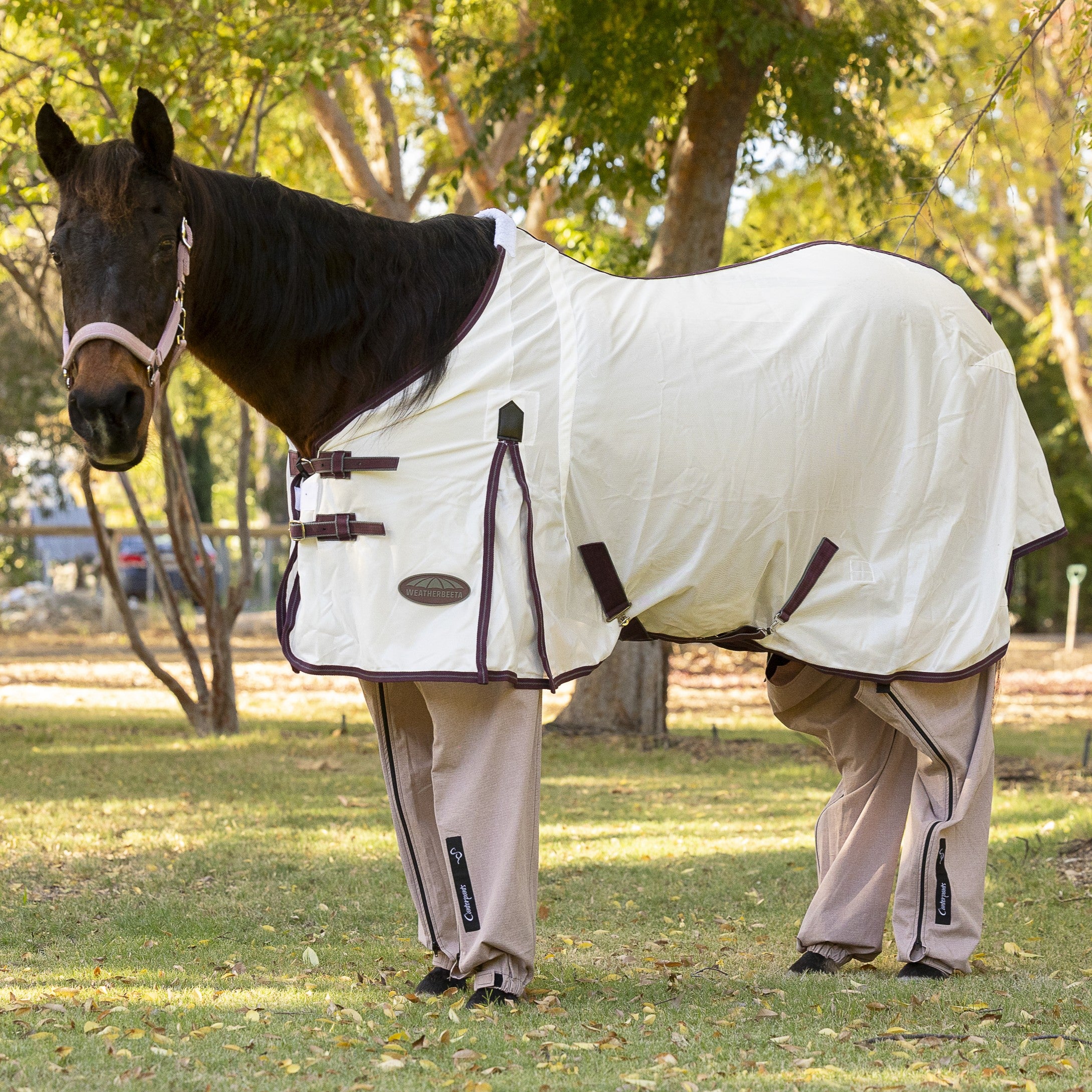 Bay horse wearing a white rug with coral coloured ripstop cotton Canterpants