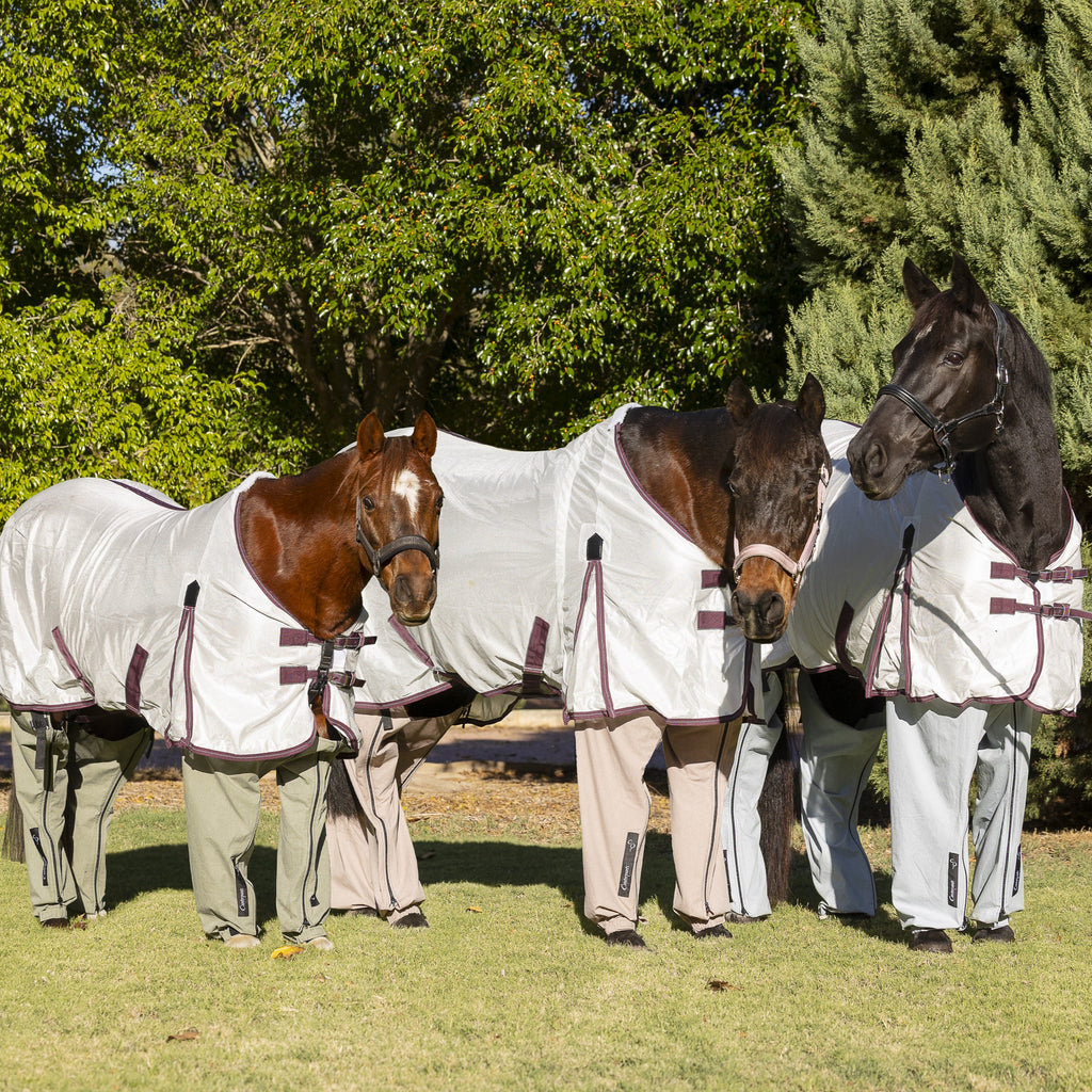 Three horses standing on the lawn wearing ripstop cotton Canterpants in the colours Peppermint, Coral and Blue gum