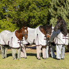 Three horses standing on the lawn wearing ripstop cotton Canterpants in the colours Peppermint, Coral and Blue gum