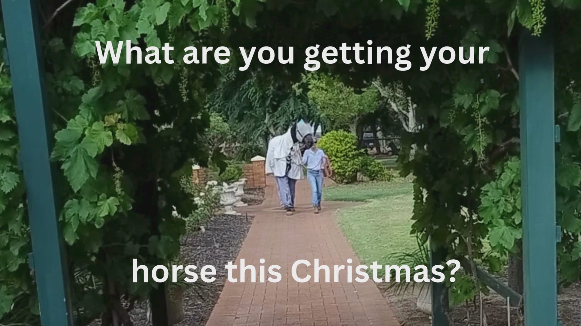Load video: Horse walking towards a grape vine covered arbour wearing leg coverings with the text &quot;What are you gettiing your horse this Christmas&quot; followed by a close up of horse legs covered in Canterpants leg coverings with the text &quot;Bite free legs&quot;, followed by picture of a horse mid section with the text &quot;Allergy Relief&quot;, followed by a picture of a cantering pony with the words &quot;Freedom to frolic and finally a picture of all three horses standing next to each other wearing their Canterpants with the words &quot;Give them happy legs with... Canterpants&quot;