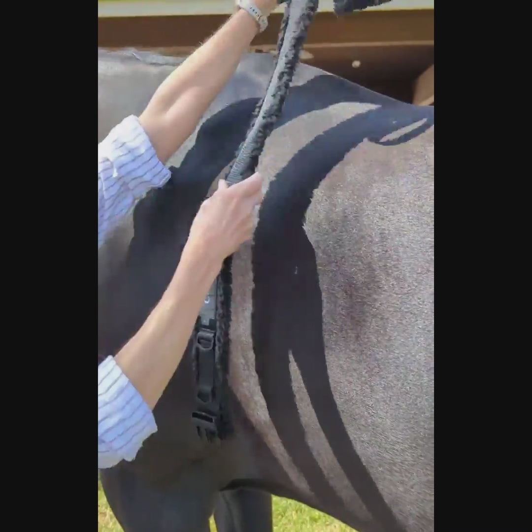 Video showing the belly band being fitted over the horse's back, secured by side release buckle at the elbow, and adjusted for a comfortable fit