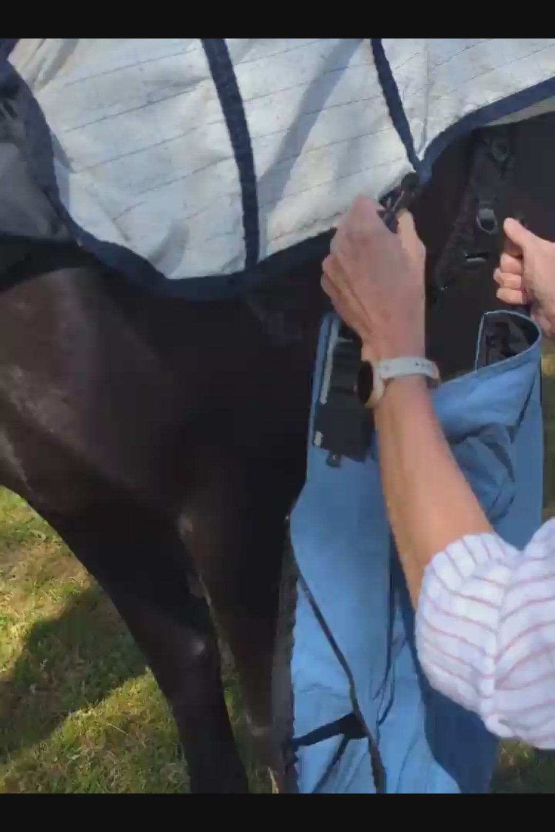 Video showing the fitting of the front canterpants by clipping to the chest buckle and belly band, zipped and velcro pastern closure